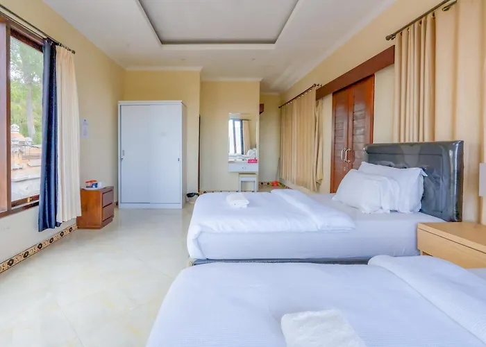 Homestay Mountain View House