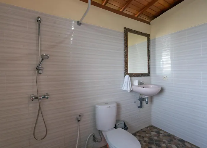 Homestay Mountain View House